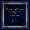 Spirit World Realities by Dr. Henry W. Wright